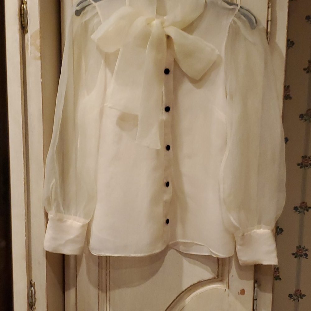 Zara Top eve organza